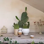 Lägenhet Ambra Con Balcone By Wonderful Italy *